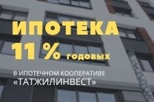       ""  11% 